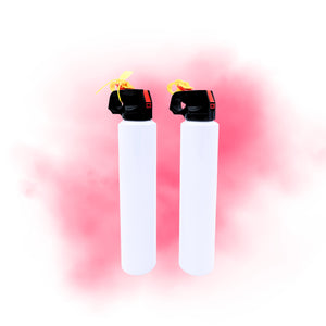 Small Extinguisher (2-pack) | PINK Gender Reveal Party Ideas