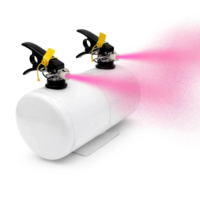  Gender Reveal Powder Extinguisher