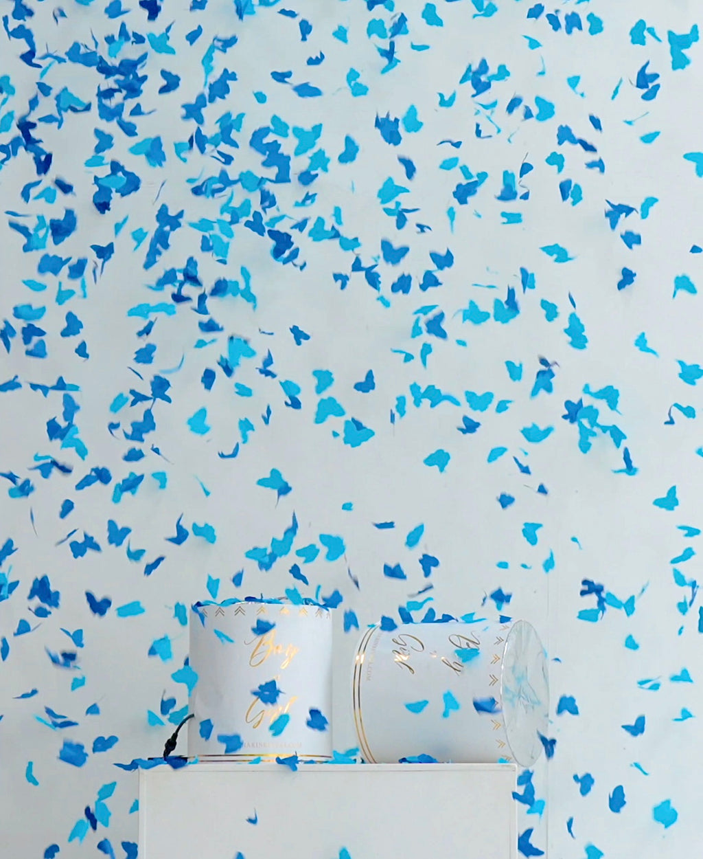12in. Auto Wireless Confetti Box