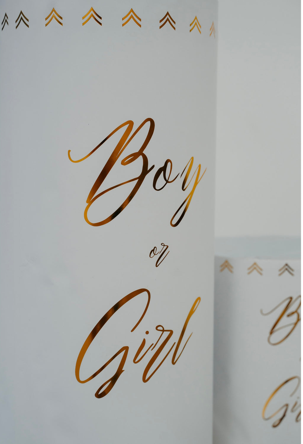 24" Auto Wireless Confetti Box | Gender Reveal Party Supplies & Ideas