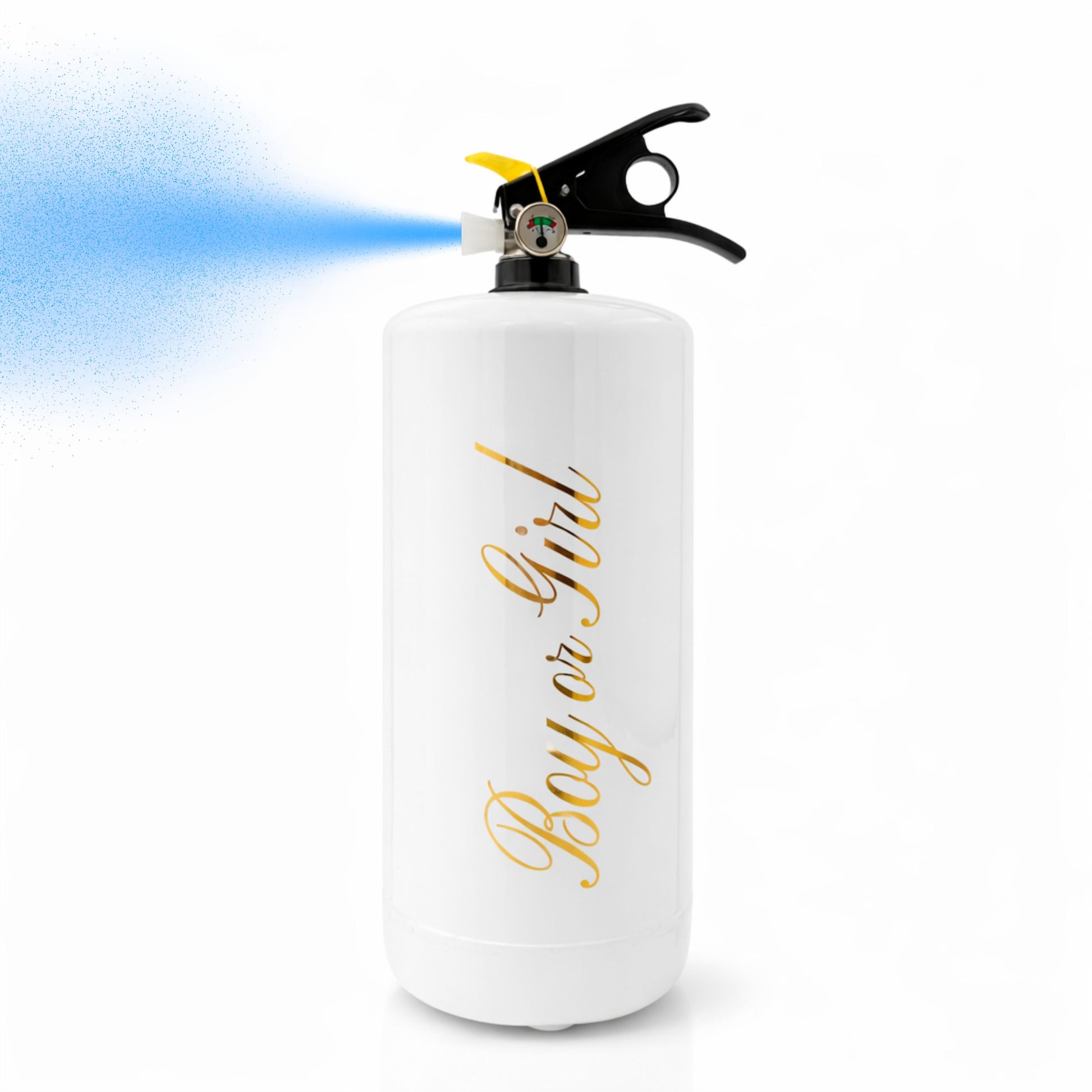 LARGE Extinguisher - BLUE