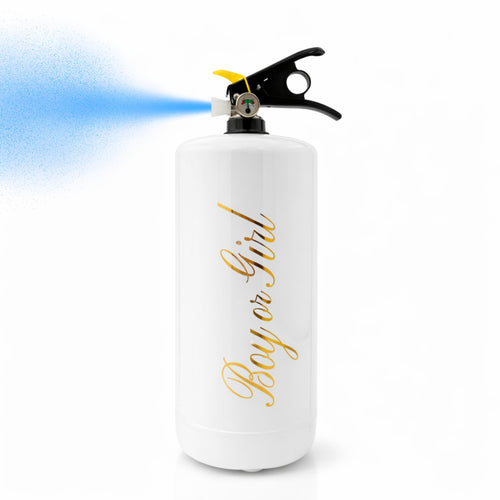 LARGE Extinguisher - BLUE