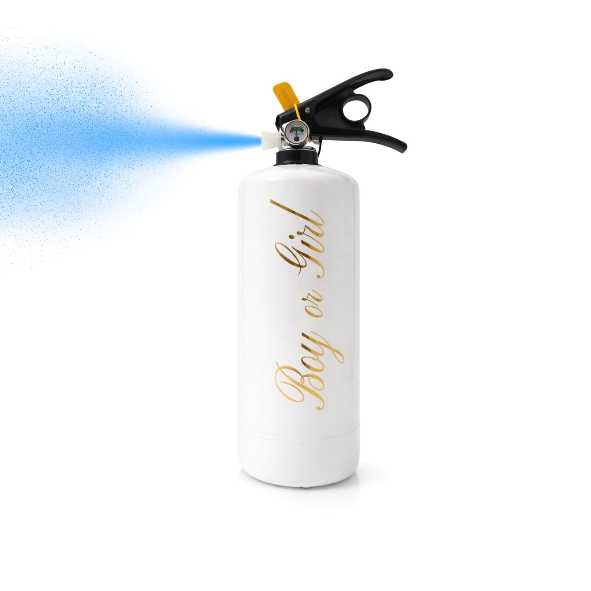 Medium Extinguisher - BLUE