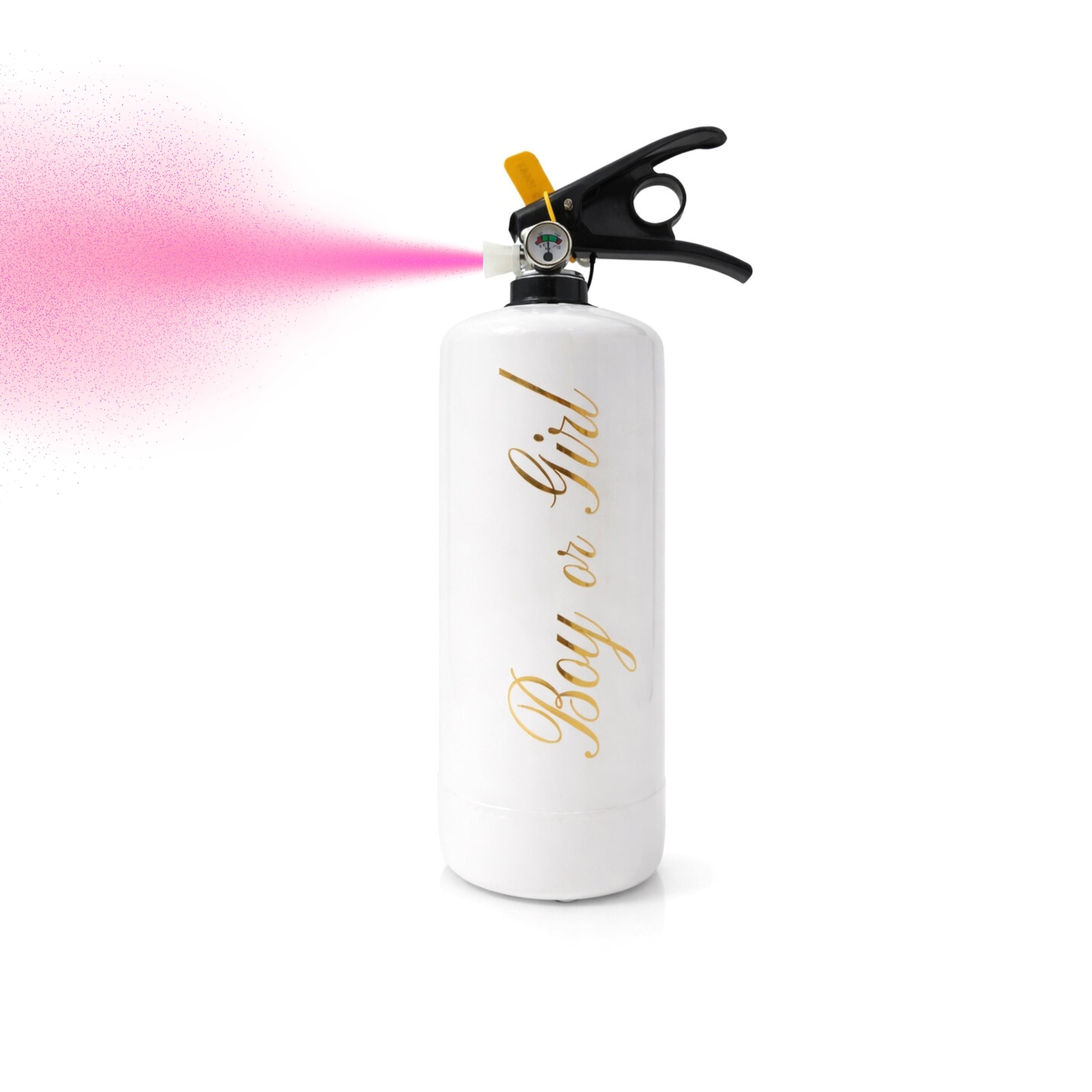 Medium Pink Extinguisher for Gender Reveal Party Effect