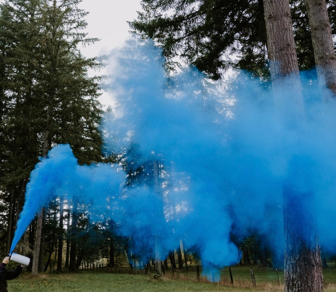 Medium Extinguisher Blue | Gender Reveal Party