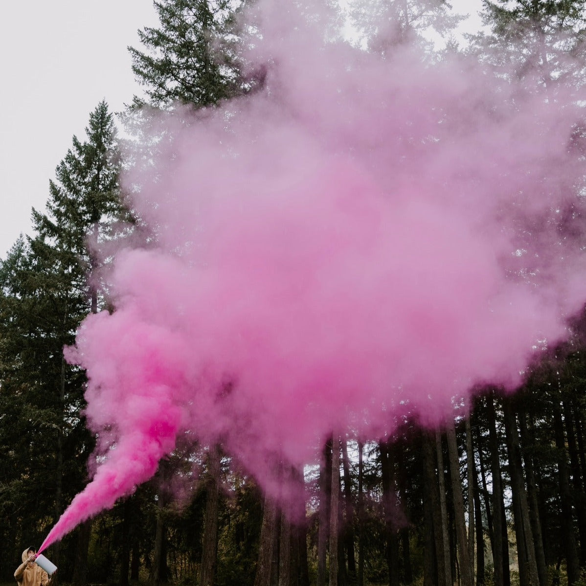 LARGE Extinguisher - PINK
