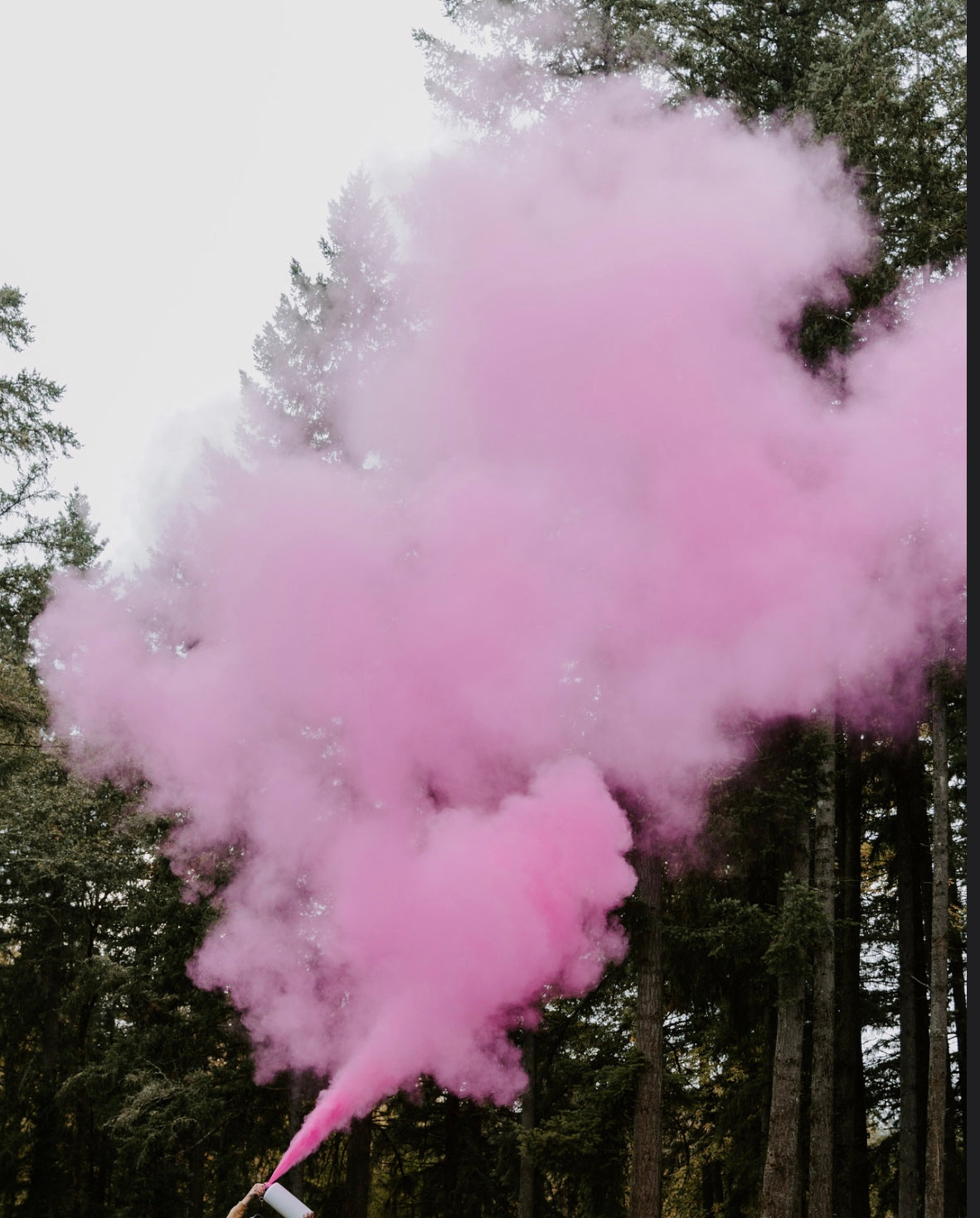 Large Extinguisher - PINK | Gender Reveal Party