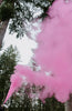 Load image into Gallery viewer, Medium Extinguisher Pink | Gender Reveal Party
