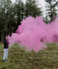 Load image into Gallery viewer, Small Extinguisher (2-pack) | PINK Gender Reveal Party