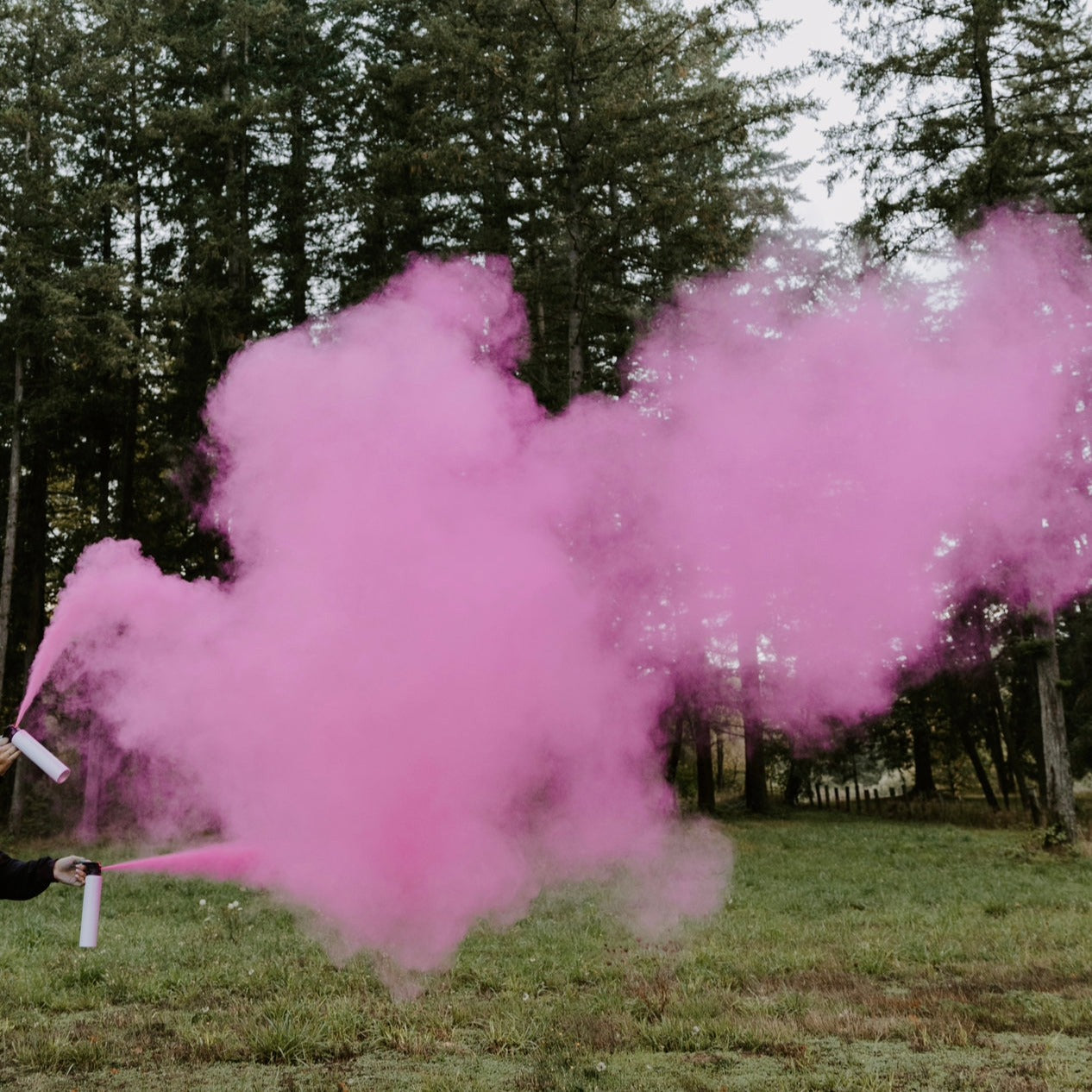 Small Extinguisher (2-pack) | PINK Gender Reveal Party